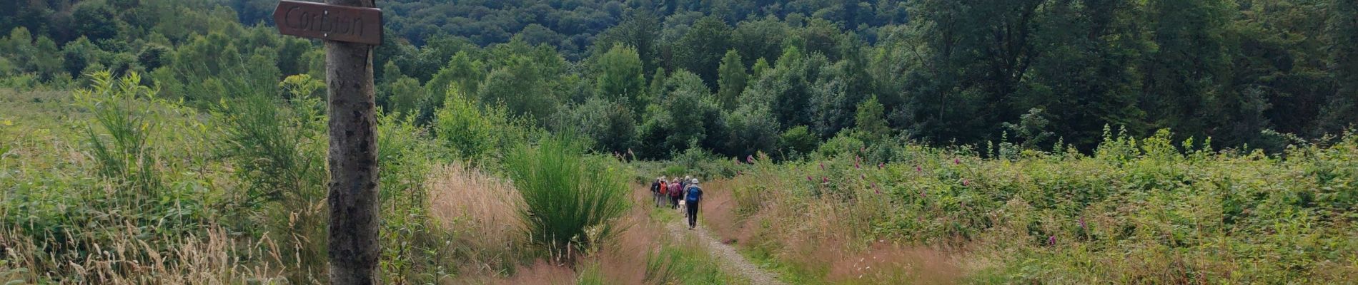 Trail Walking Bouillon - Corbion ANC par BB - Photo