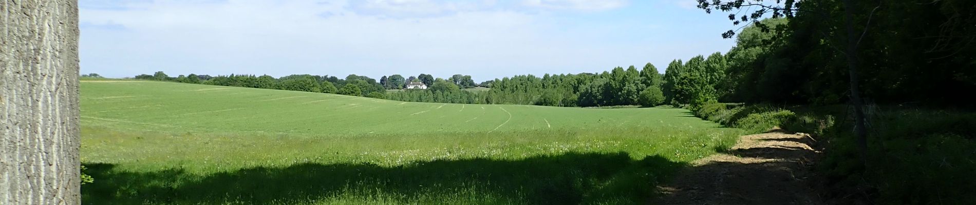 Point d'intérêt Chaumont-Gistoux - Vue sur le Fond des Malades - Photo