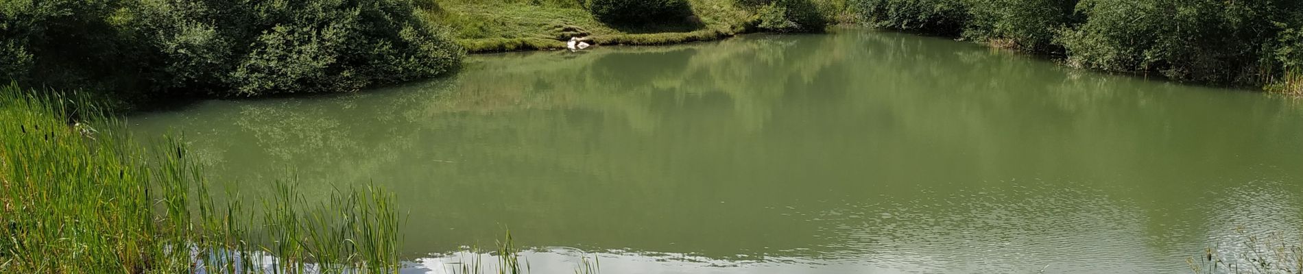 Tocht Stappen Arith - le vallon du mariet et le petit lac - Photo