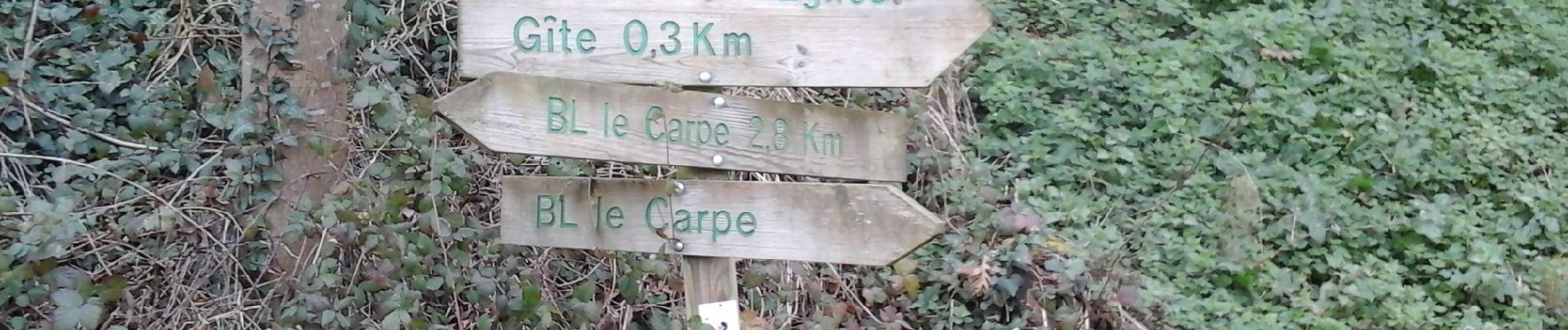 Percorso A piedi Castets et Castillon - Les Vallons : Boucle locale - Photo