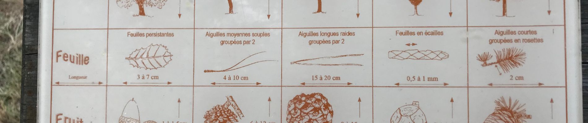 Point of interest Conques-sur-Orbiel - explications panoramiques - Photo