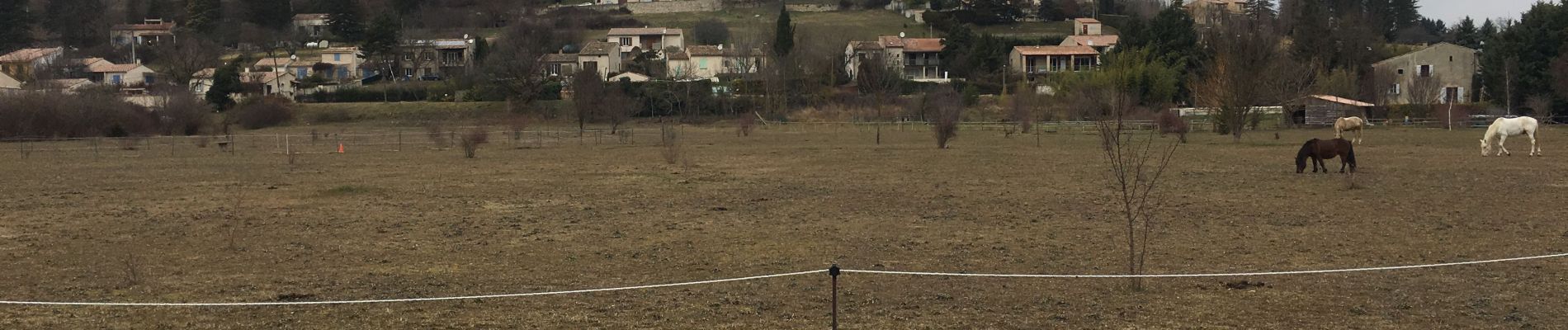 Tour Wandern Dauphin - Le tour de Dauphin - Photo