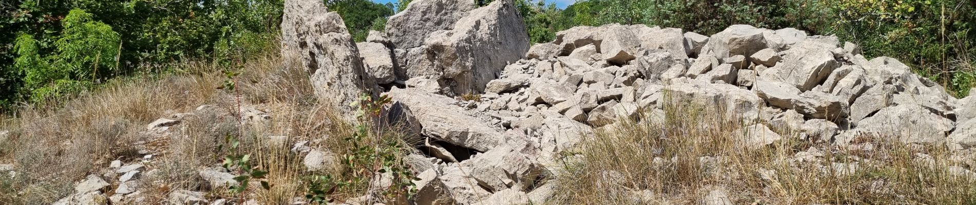 Randonnée Marche Saint-Paul-le-Jeune - Sentier des dolmens - Photo