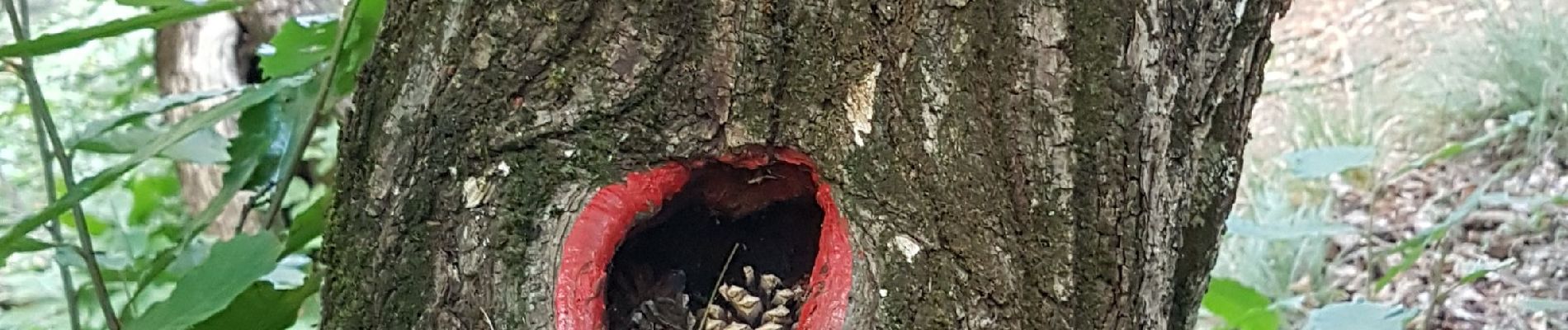 Excursión Senderismo Fontan - Chemin des Drôles  - Photo