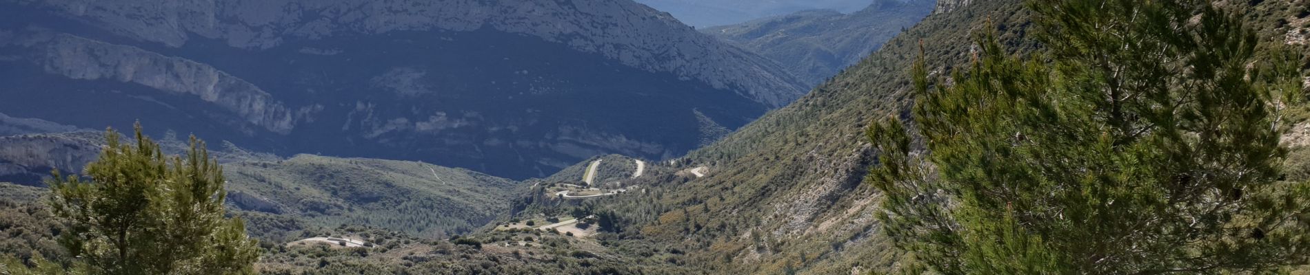 Excursión Senderismo Gémenos - Col de L'Espigoulier, col de Bretagne, Dents de Roque Forcade A/R - Photo