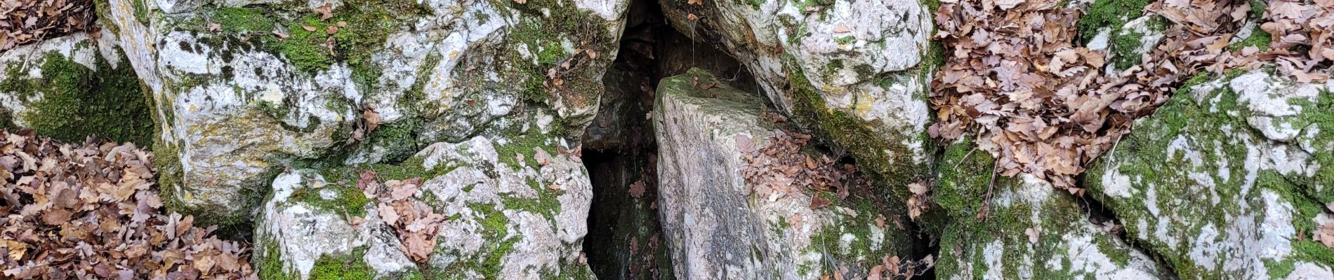 Tour Wandern Pourrières - Pourrieres le pain de munition  - Photo