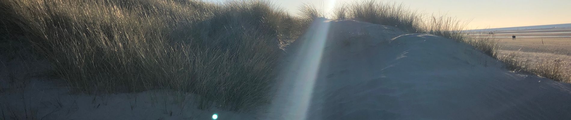 Trail Walking Koksijde - Ostduinkerke bray-dunes - Photo