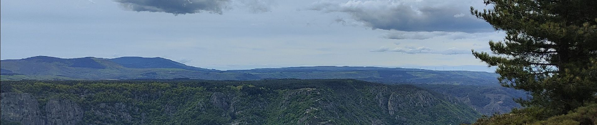 Tour Wandern Montselgues - plateau m'ont selgue - Photo