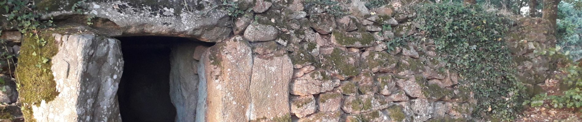 Excursión Senderismo Brecé - Brécé- Le Saut du Loup - Photo