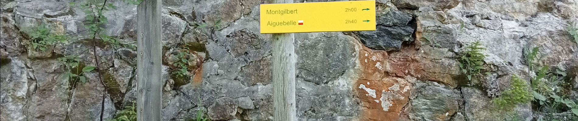 Randonnée Marche Saint-Alban-d'Hurtières - col du GD cucheron / les granges - Photo