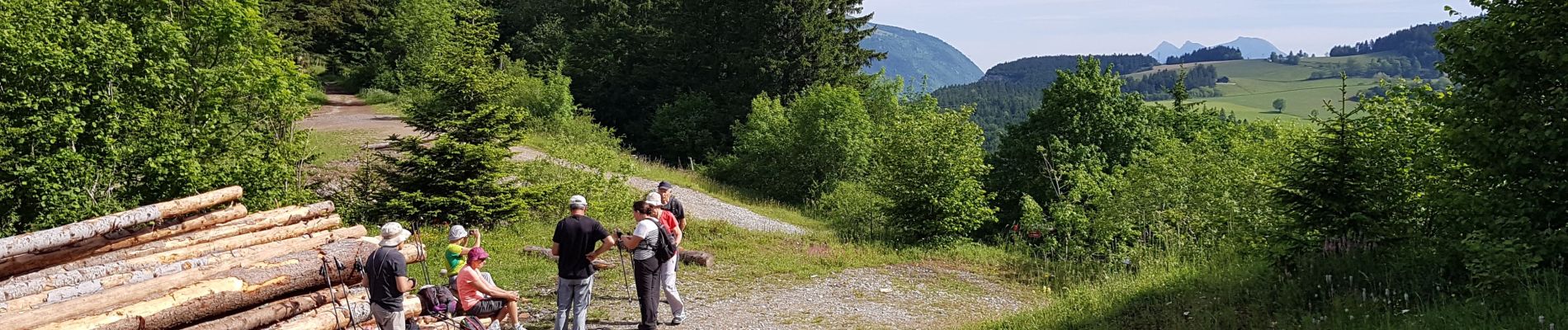 Trail Nordic walking Saint-Nizier-du-Moucherotte - Saint Nizier - Croix Lichou - Photo