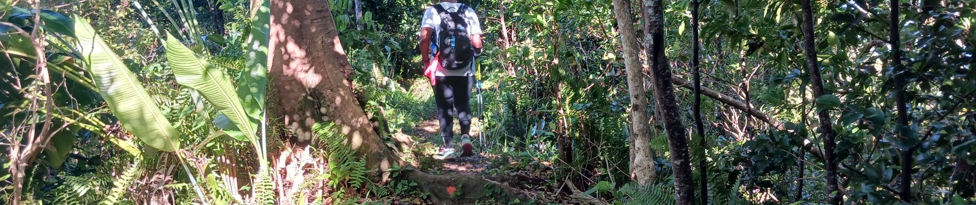 Tour Wandern Le Prêcheur - Sentier Martineaud - Photo