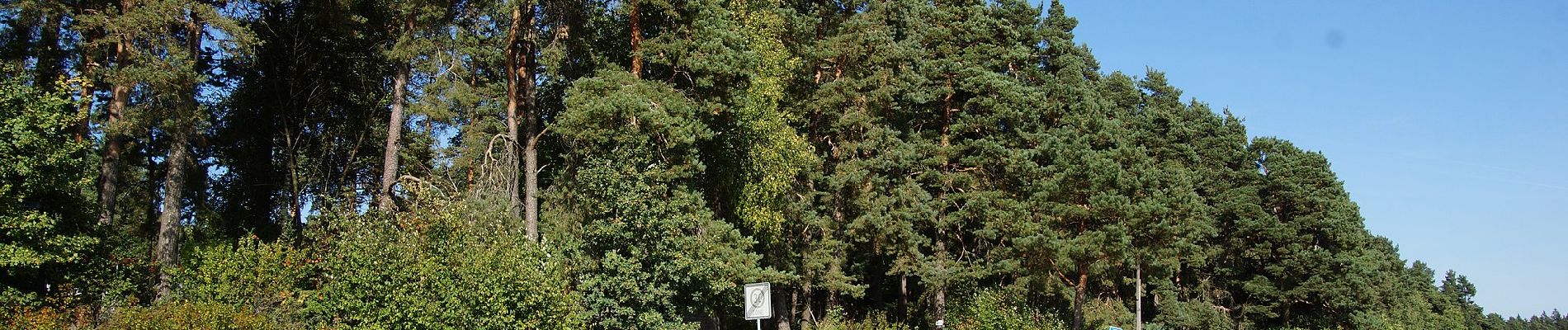 Randonnée A pied Neumarkt in der Oberpfalz - Lengenbachtalweg - Photo