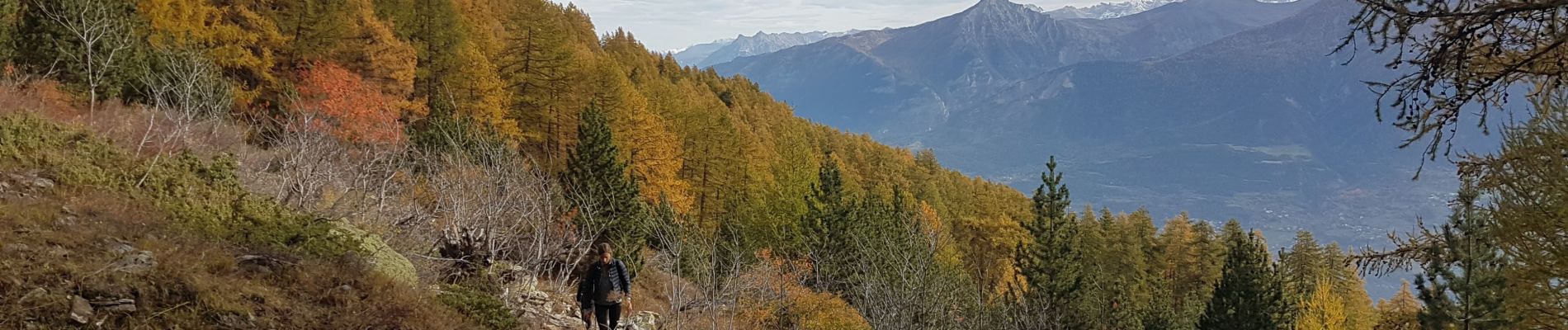 Randonnée Marche Embrun - Mt Guillaume en boucle par Belvedere de la Para - Photo