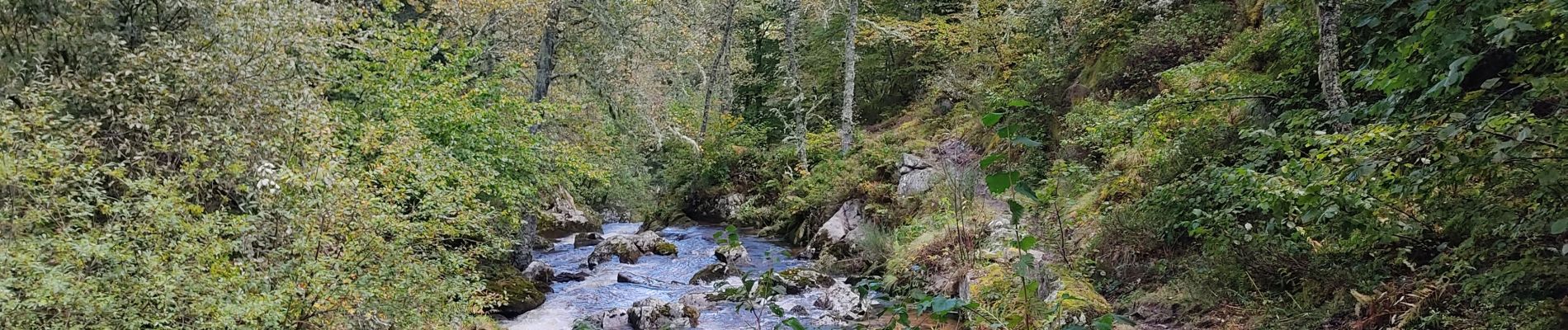 Excursión Senderismo Luzenac - sauzay - Photo