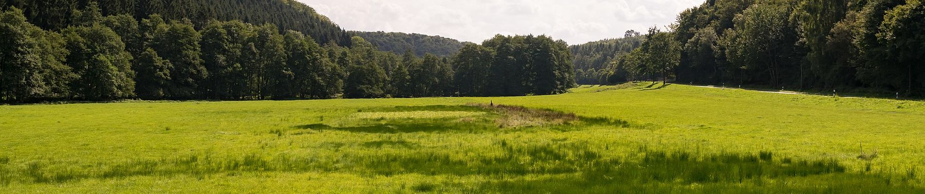 Excursión A pie Lichtenau - Holtheim Rundweg A2 - Photo