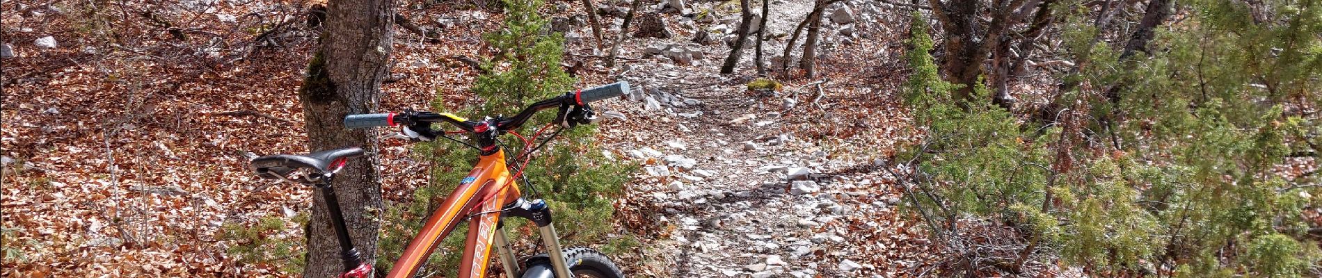 Excursión Bici de montaña Bédoin - Enduro ventoux Jas de Roubin - Photo