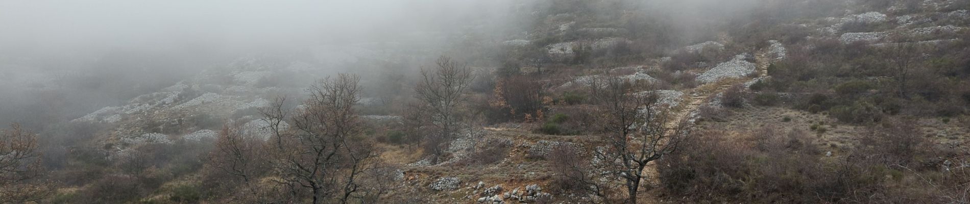 Randonnée Marche Cipières - Cipieres - Calern observatoire - Photo