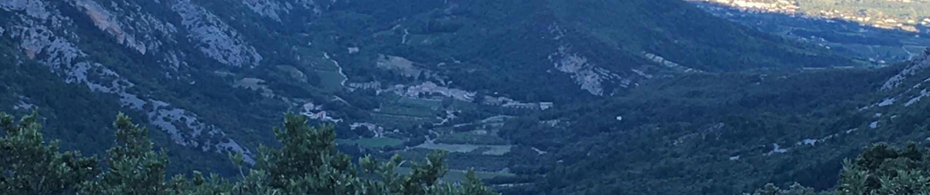 Tocht Trail Beaumont-du-Ventoux - Ventoux-05072020 - Photo