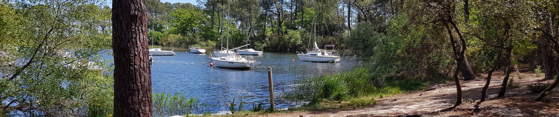 Randonnée Marche Hourtin - lac de hourtin - Photo