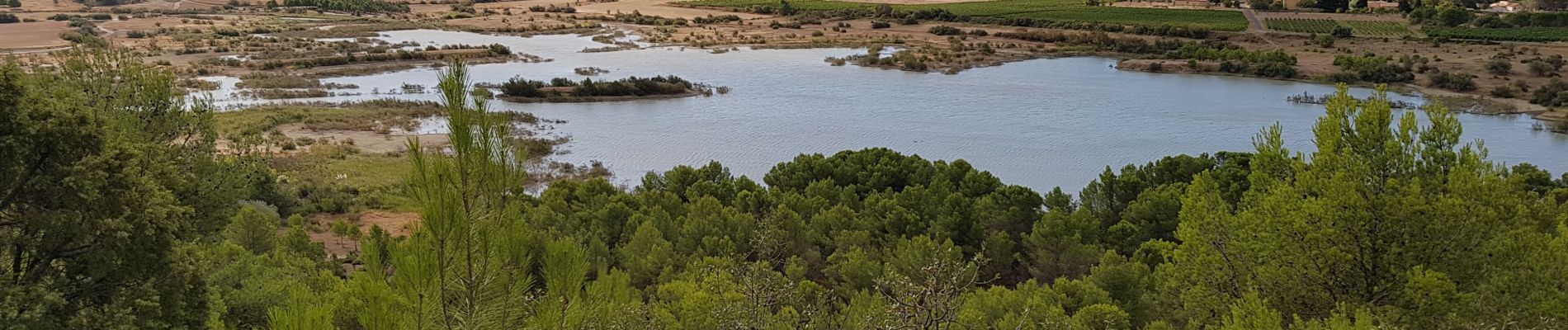 Randonnée Marche Argens-Minervois - Argens - Photo