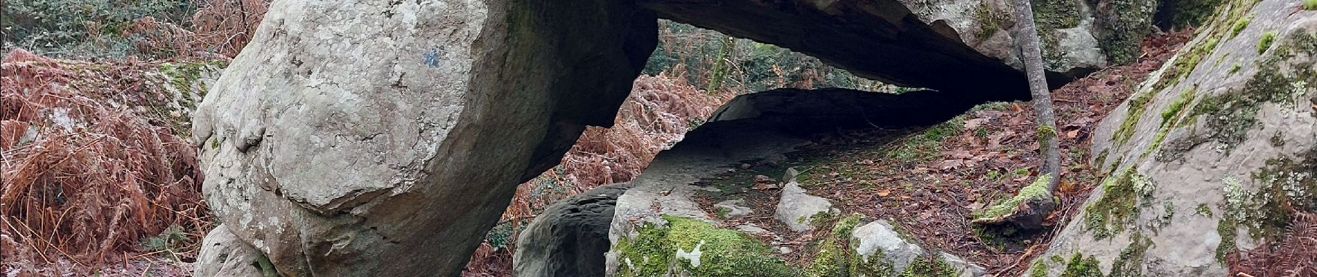 Randonnée Marche Fontainebleau - canon - Photo