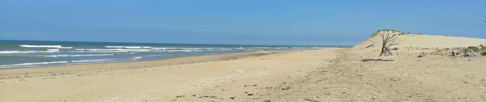 Trail Walking Le Grand-Village-Plage - Grand Village plage - Photo