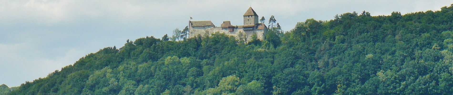 Excursión A pie Truttikon - Andelfingen-Truttikon-Oberstammheim-Stein am Rhein - Photo