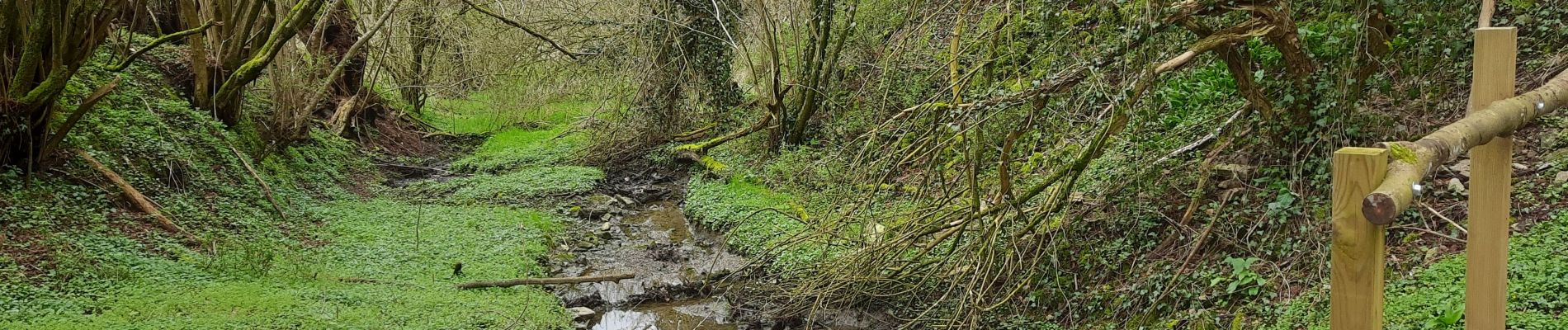 Tocht Stappen Modave - Pont-de-Bonne - Photo