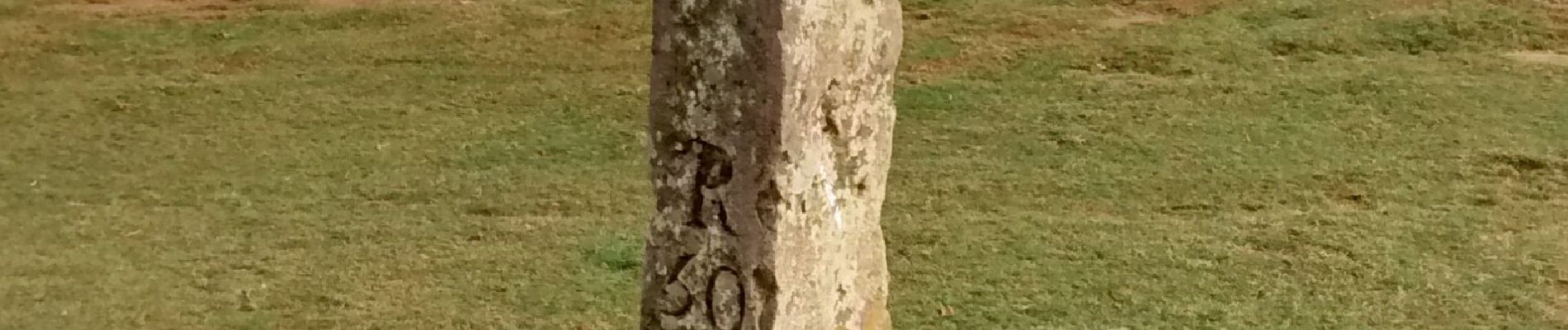 Percorso A piedi Sare - Chemin des Palombières - Photo