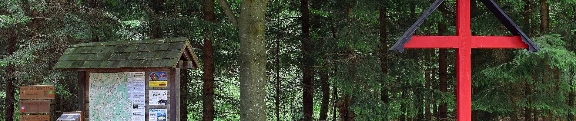 Percorso A piedi Eidenberg - Kopfwehsteinweg - Photo