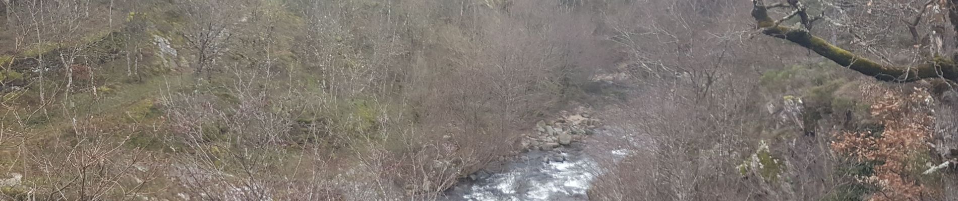 Trail Walking Saint-Jean-du-Bruel - gorges de la Dourbies  - Photo