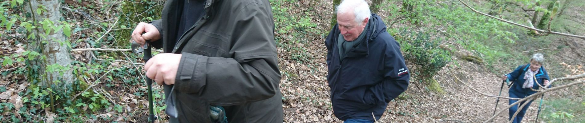 Trail Walking Fontainebleau - la mare aux fées 14 avril 20236 - Photo