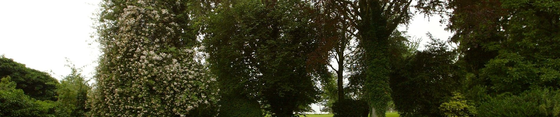 Tocht Te voet Tongeren - Rond de bronnen van de Mombeek - Photo