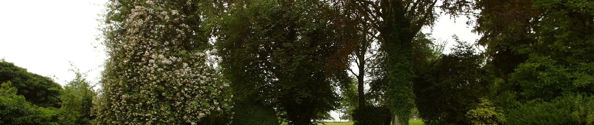 Excursión A pie Tongeren - Rond de bronnen van de Mombeek - Photo