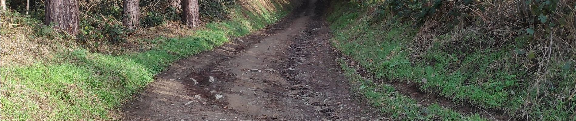 Tocht Stappen Herent - VELTEM - Photo