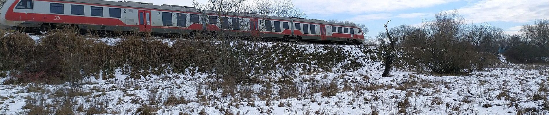 Excursión A pie okres Hlohovec - Náučný chodník Poniklec - Photo