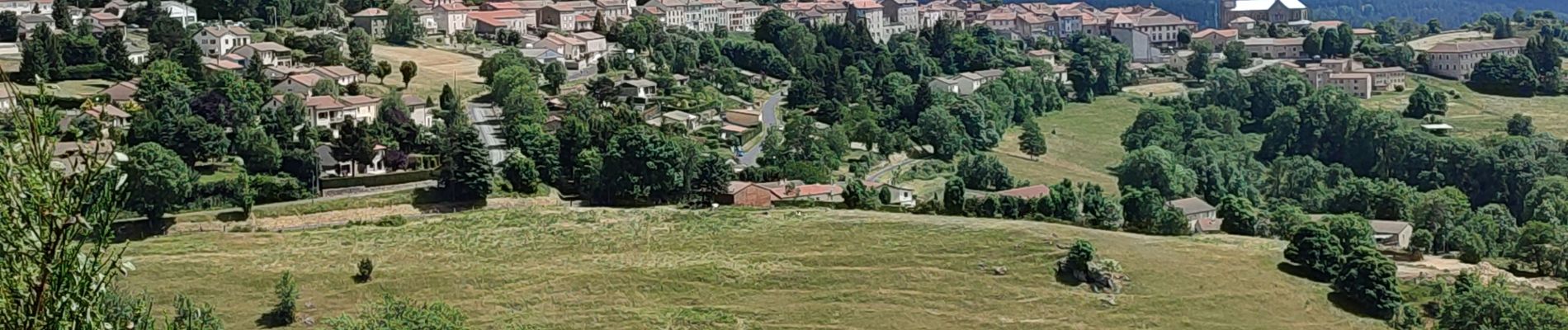 Tour Wandern Le Bouchet-Saint-Nicolas - pradelles  - Photo