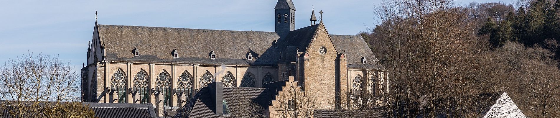 Tocht Te voet Odenthal - Grafen- und Mönchsweg - Photo