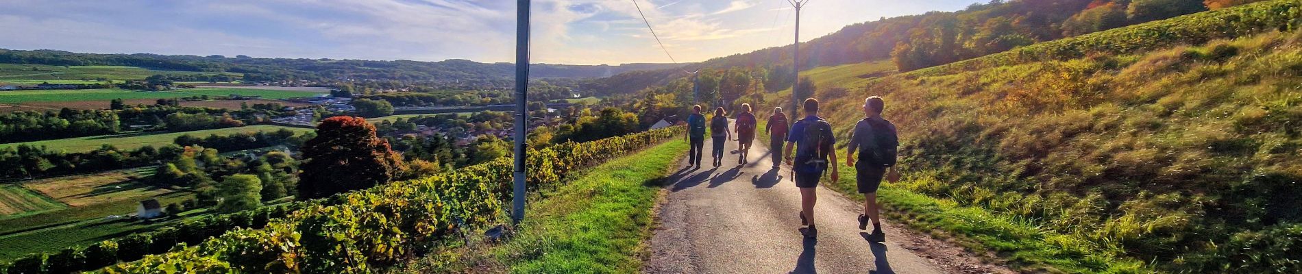 Tocht Stappen Saâcy-sur-Marne - Boucle Nanteuil Saacy - Charly sur Marne - Photo