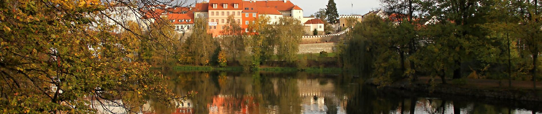 Tocht Te voet Putim - [Č] Putim - Písek - Photo