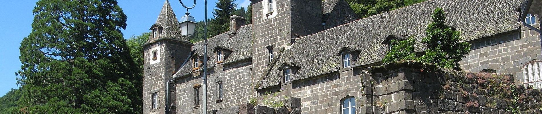 Percorso A piedi Saint-Projet-de-Salers - Sur la route des transhumances étape 3 - Photo