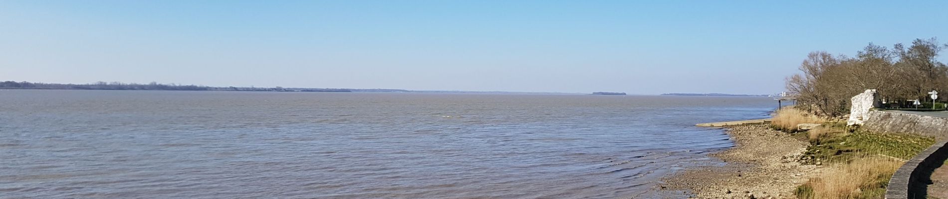 Percorso Bici da strada Bayon-sur-Gironde - ballade en Gironde  - Photo