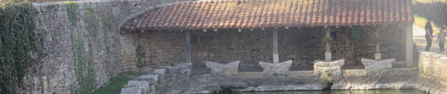 Tocht Stappen Varaire - Varaire dolmen du Dirau - Photo