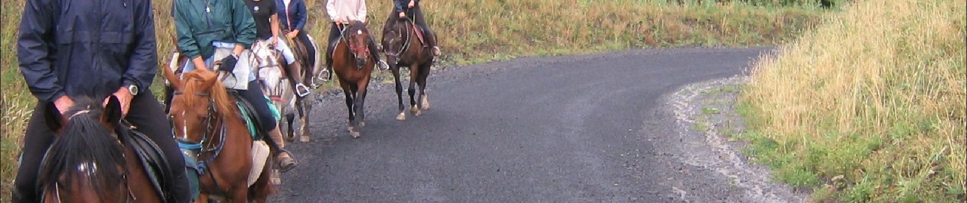 Trail Horseback riding Saint-Jacques-d'Ambur - SAINT JACQUES  D'AMBUR / ANCHALS / ST JACQUES 32kms - Photo