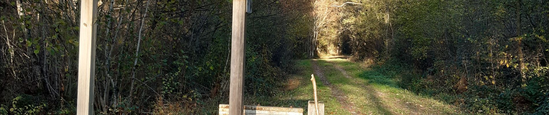 Tocht Stappen Sciez - forêt de sciez - Photo