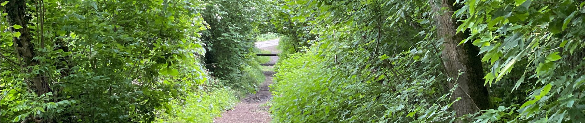 Tocht Stappen Aat - Assoumont-Houssière-Assoumont - Photo