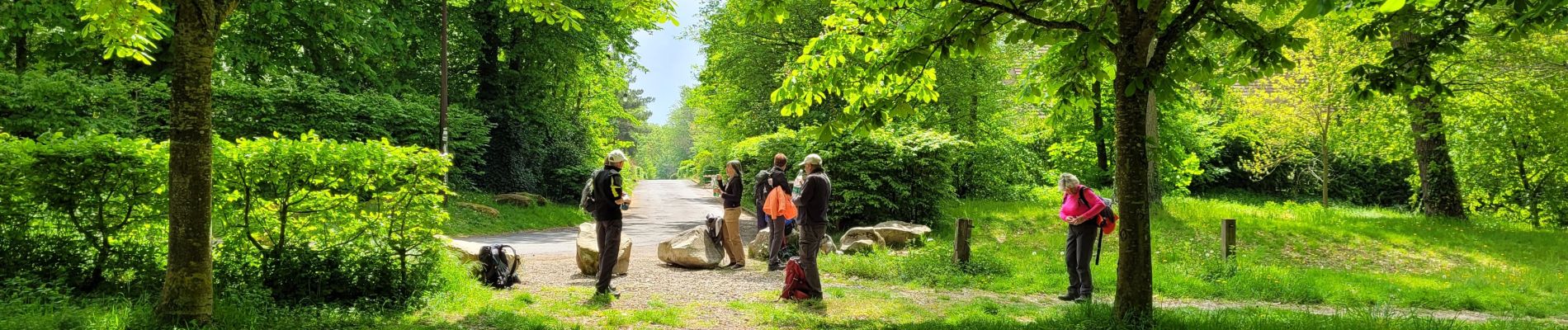 Excursión Senderismo Saintry-sur-Seine - Boucle 30 km Saintry - Seine Port - Morsang - Photo