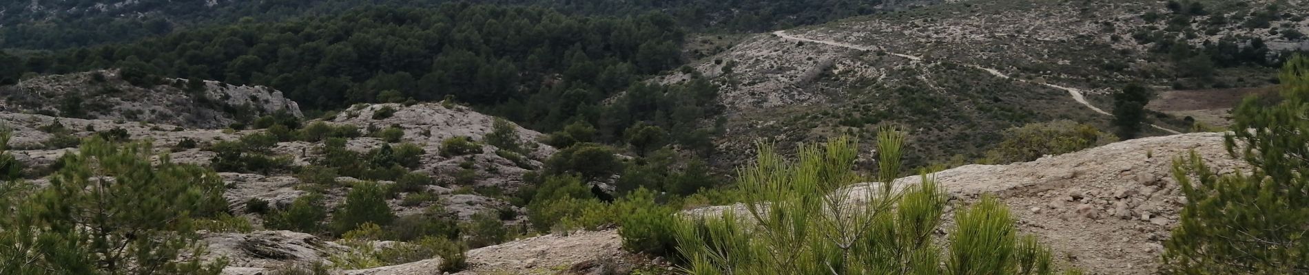 Trail Walking Gordes - gordes senanque - Photo