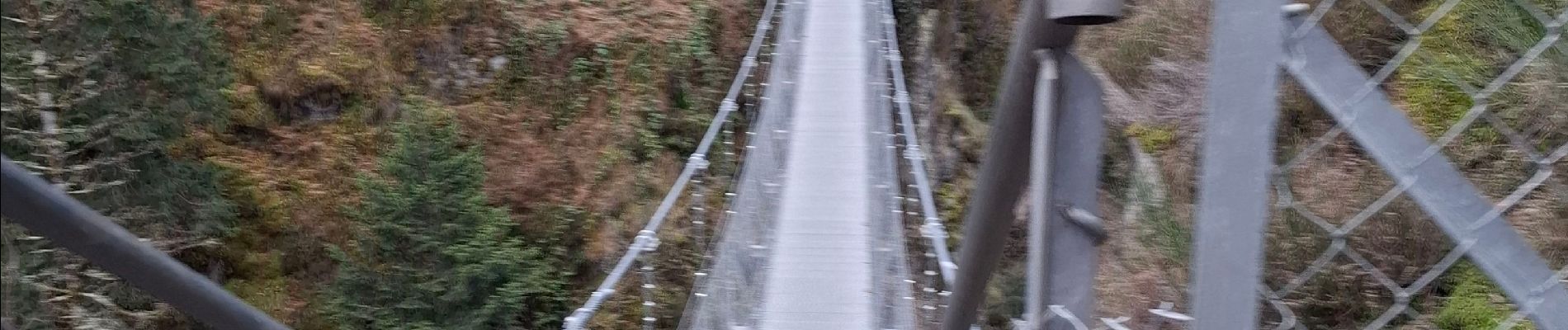 Tocht Stappen Bagnères-de-Luchon - Luchon via Saint Mamet - Photo